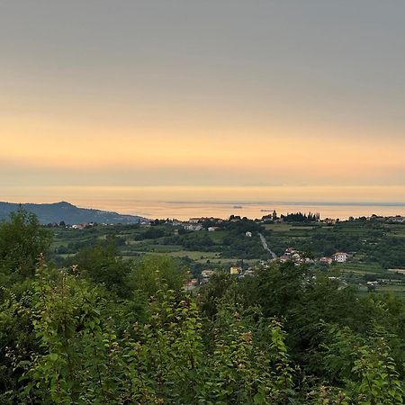 Guesthouse Green Istria Truske Bagian luar foto