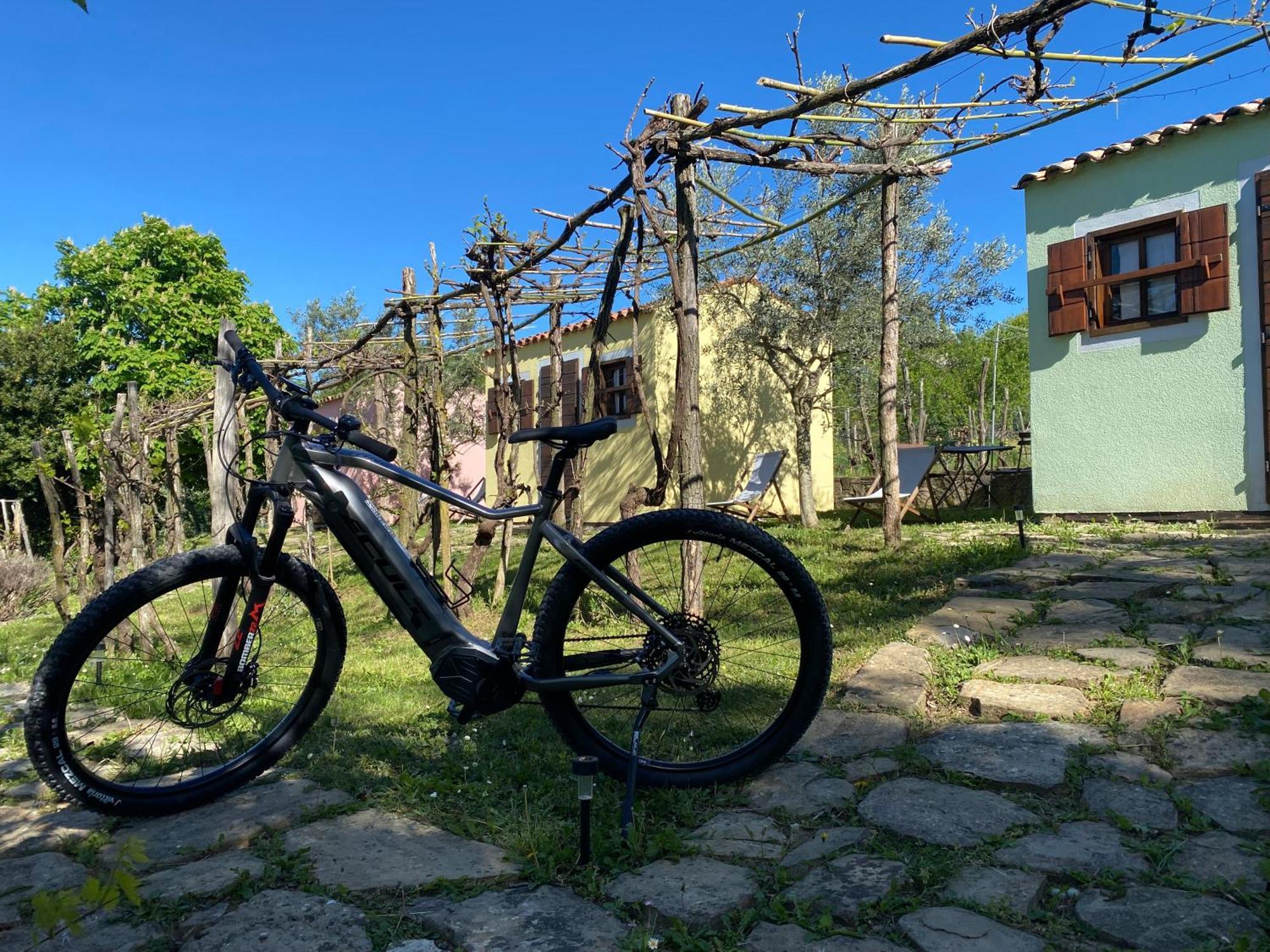 Guesthouse Green Istria Truske Bagian luar foto