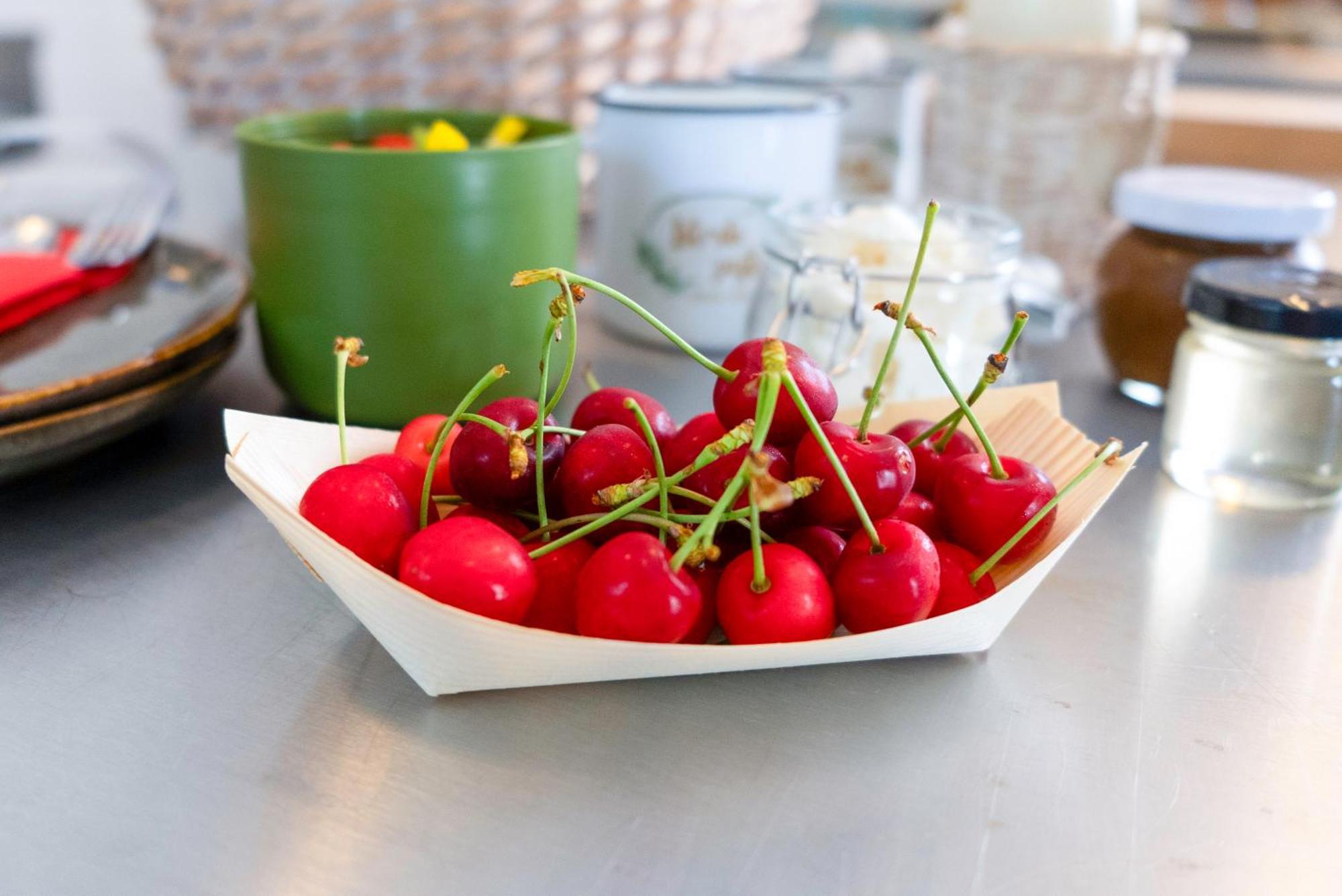 Guesthouse Green Istria Truske Bagian luar foto