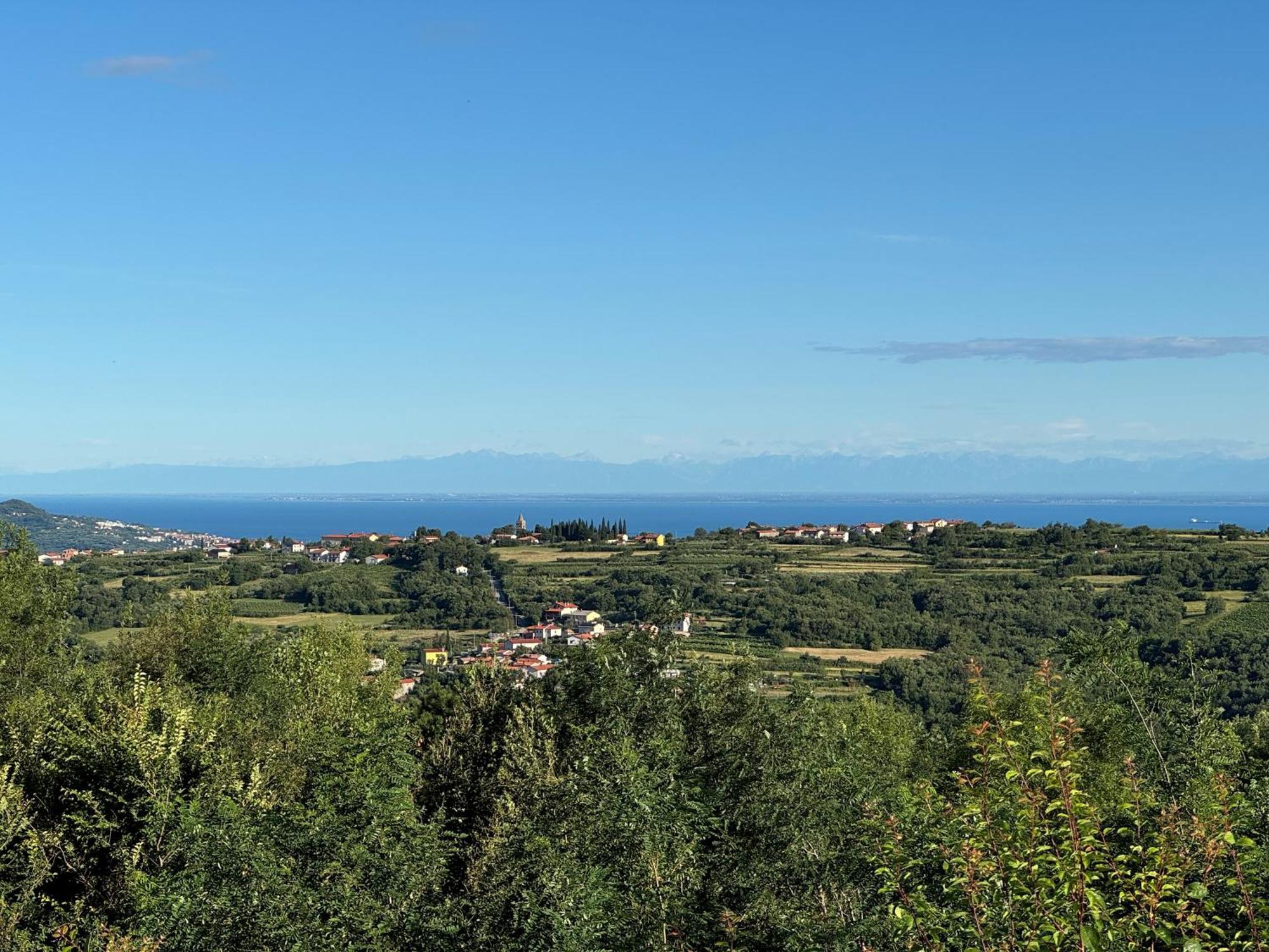 Guesthouse Green Istria Truske Bagian luar foto